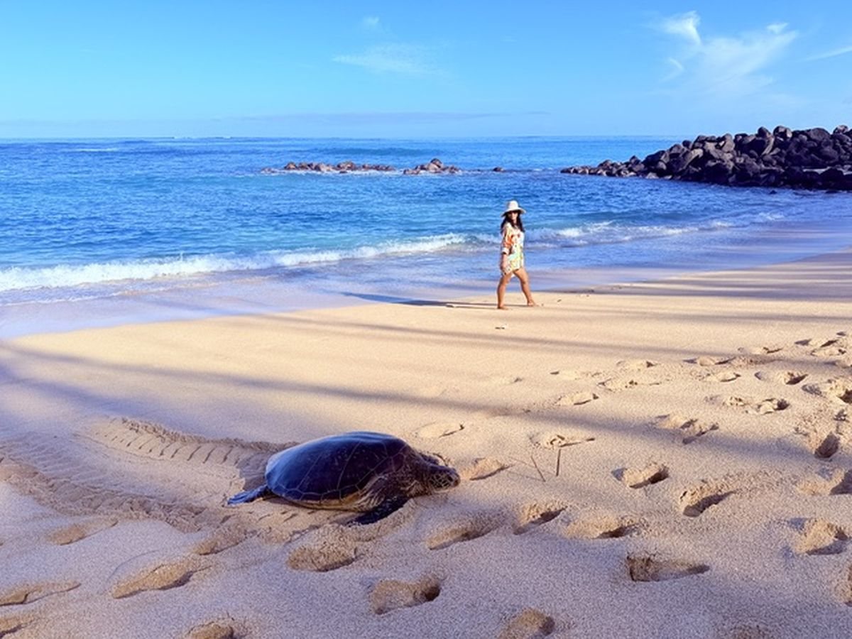 Spreckelsville Beach, North Shore Maui