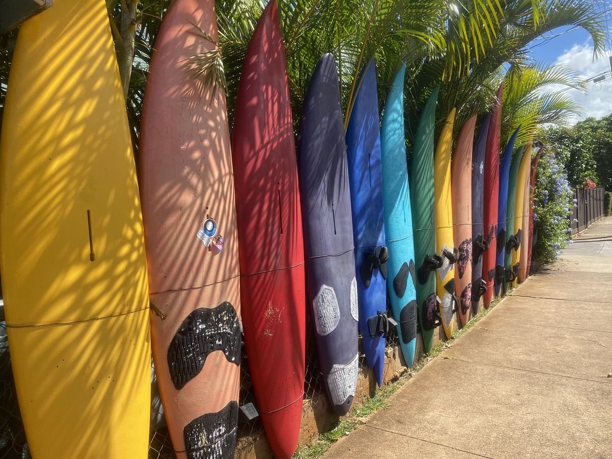 Row of colorful surfboards along a Maui path